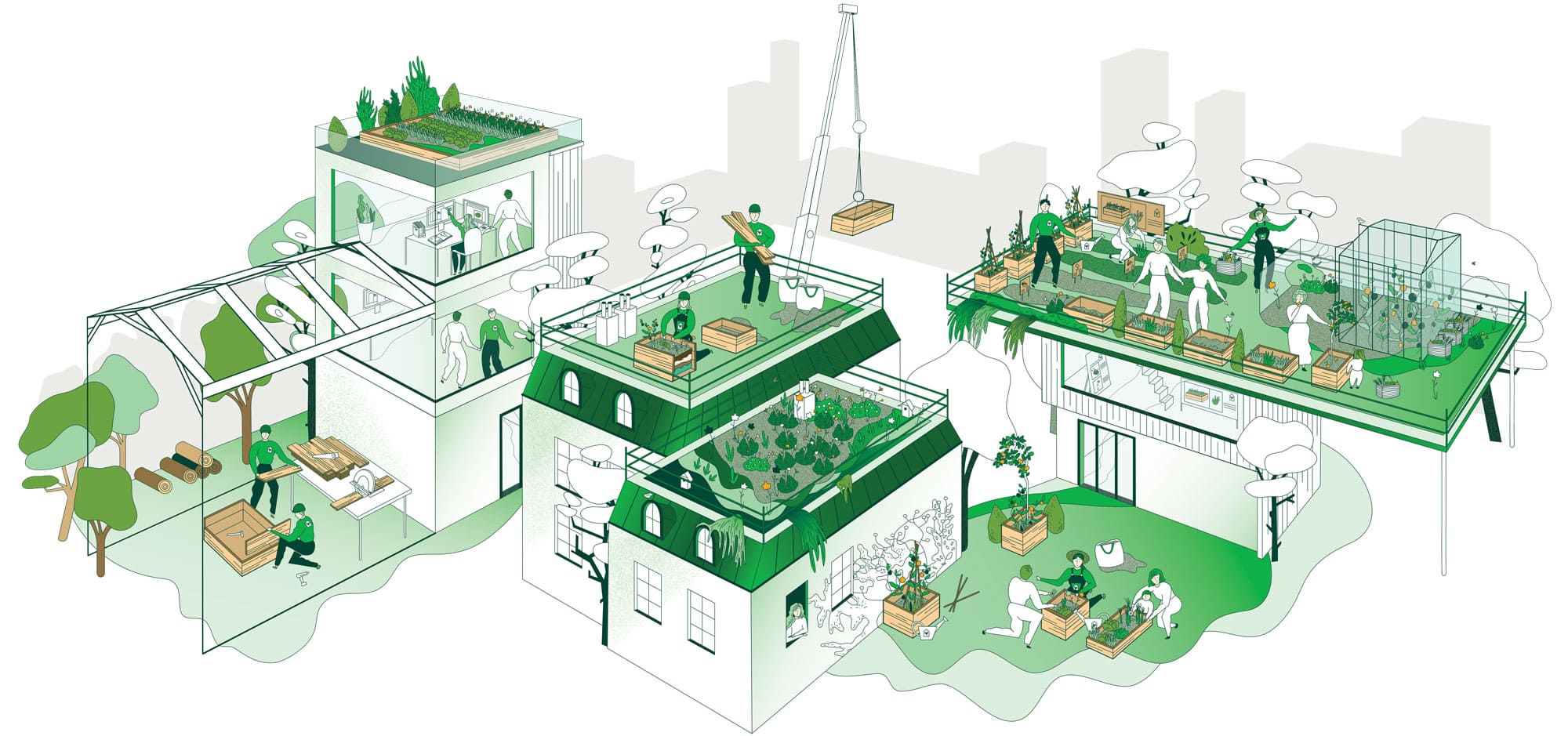 agriculture cultures en ville
