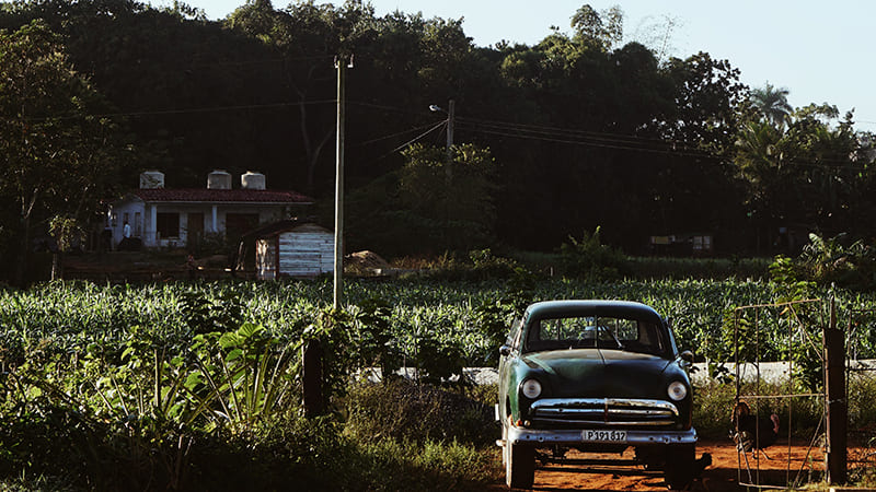 agriculture urbaine à cuba