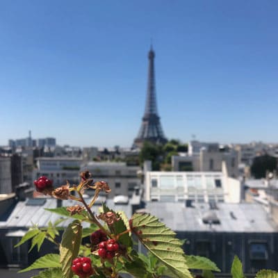 agriculture urbaine france