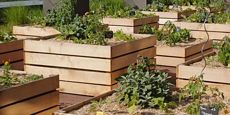 aménagement potager ville