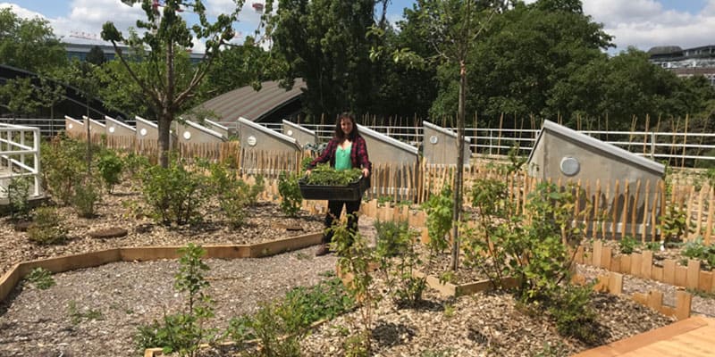 définition ferme urbaine
