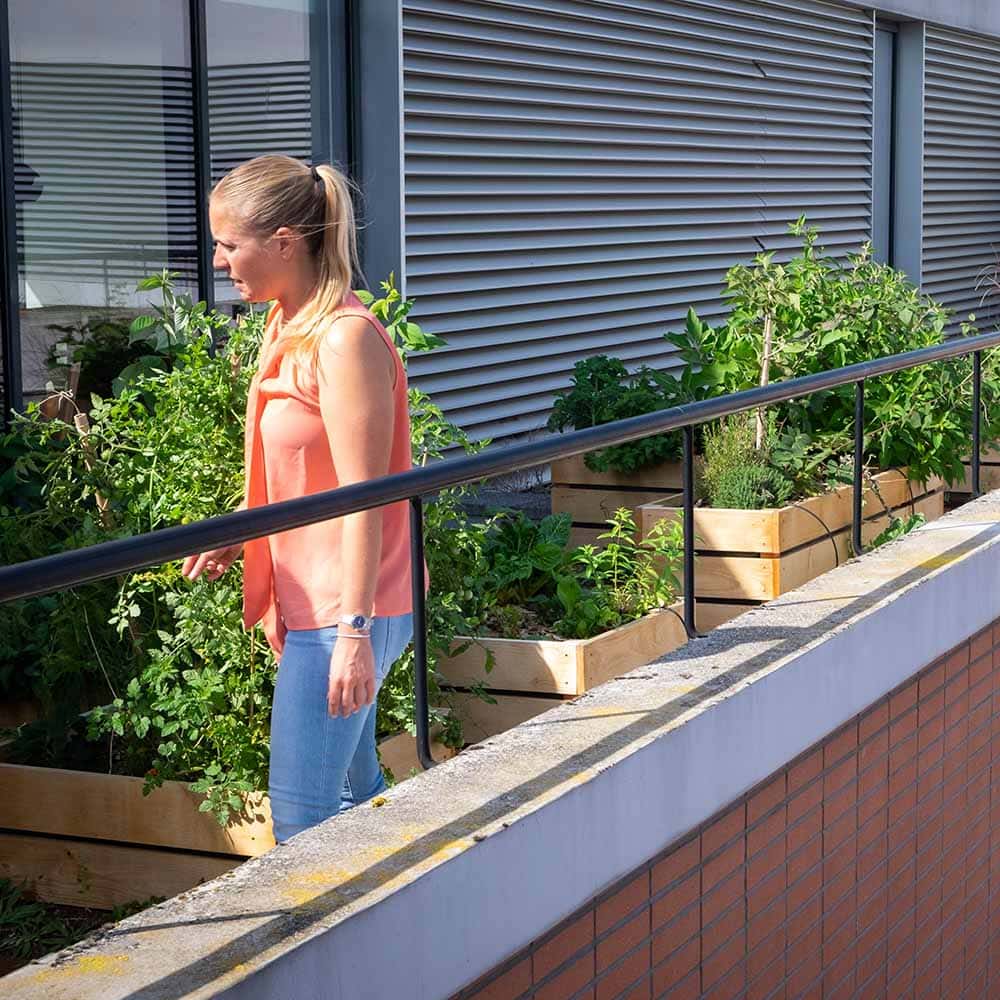 potager d'entreprise vinci