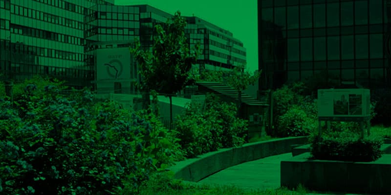 références de cultures en ville