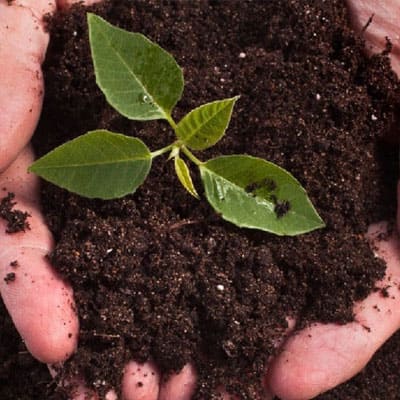 stratégie développement durable